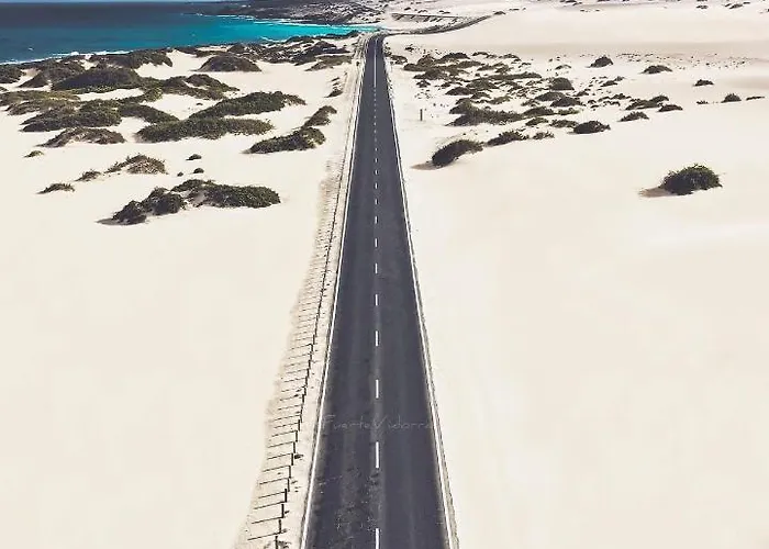 Mariposas Pool * プエルト・デル・ロサリオ